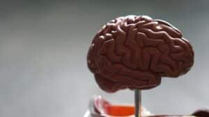 Traumatic Brain Injury Lawyer in Pennsylvania - Photo of brain model