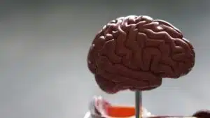 Traumatic Brain Injury Lawyer in Pennsylvania - Photo of brain model