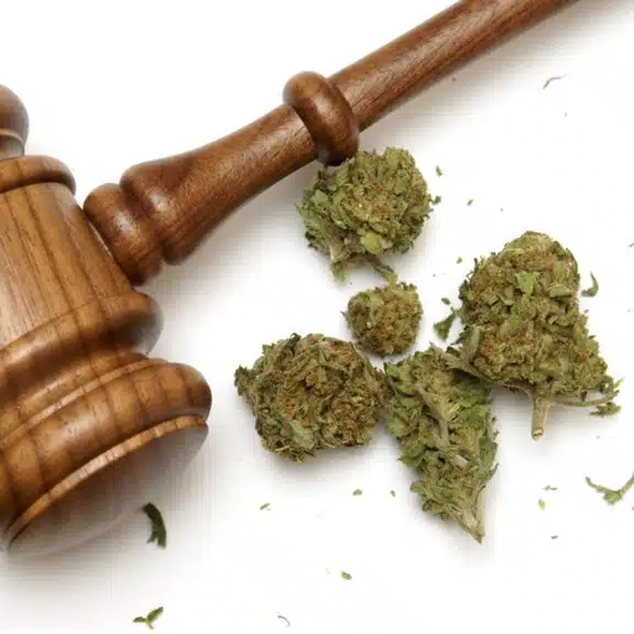 Drug Crime Lawyer in Pennsylvania